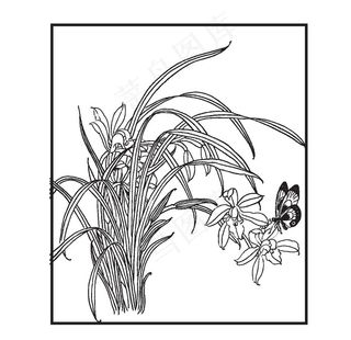 兰花图片
