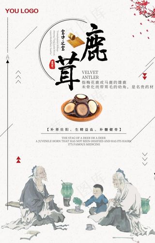中药养生鹿茸海报图片