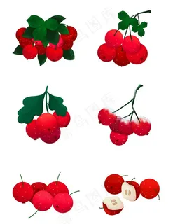 手绘山楂素材图片