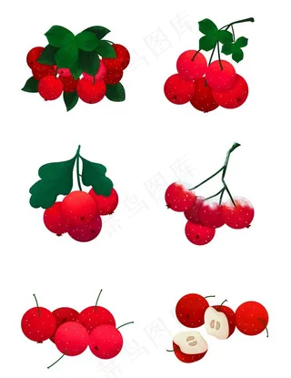 手绘山楂素材图片