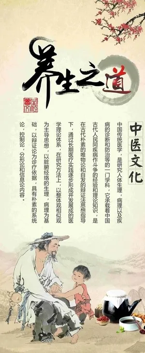 养生之道中医文化宣传展架图片