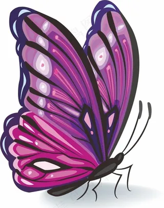 蝴蝶 矢量图片