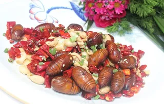 蚕蛹  香辣蚕蛹图片