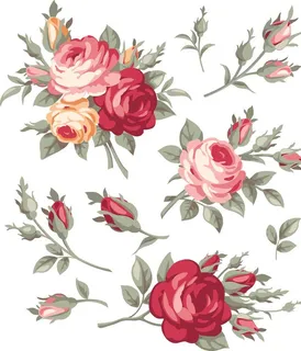 玫瑰月季矢量图图片