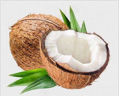 椰子图片