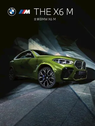 宝马X6 M折页图片