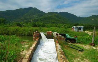 田园风光 灌溉水渠图片