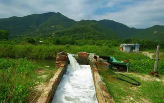 田园风光 灌溉水渠图片