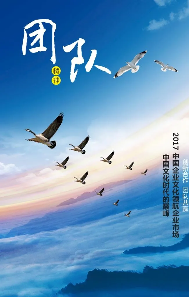团队图片(2362x3543)psd模版下载