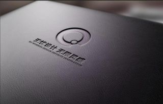 名片样机 皮质贴图 VI 高端图片