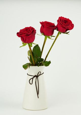 花瓶里的玫瑰花摄影图片