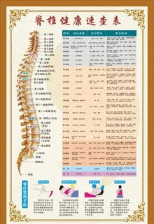 脊柱健康速查表图片