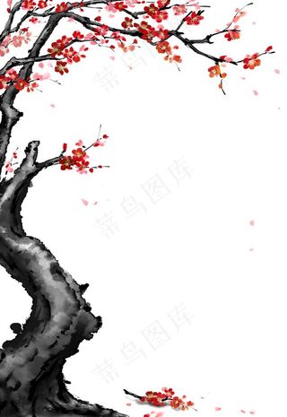 梅花素材 图片