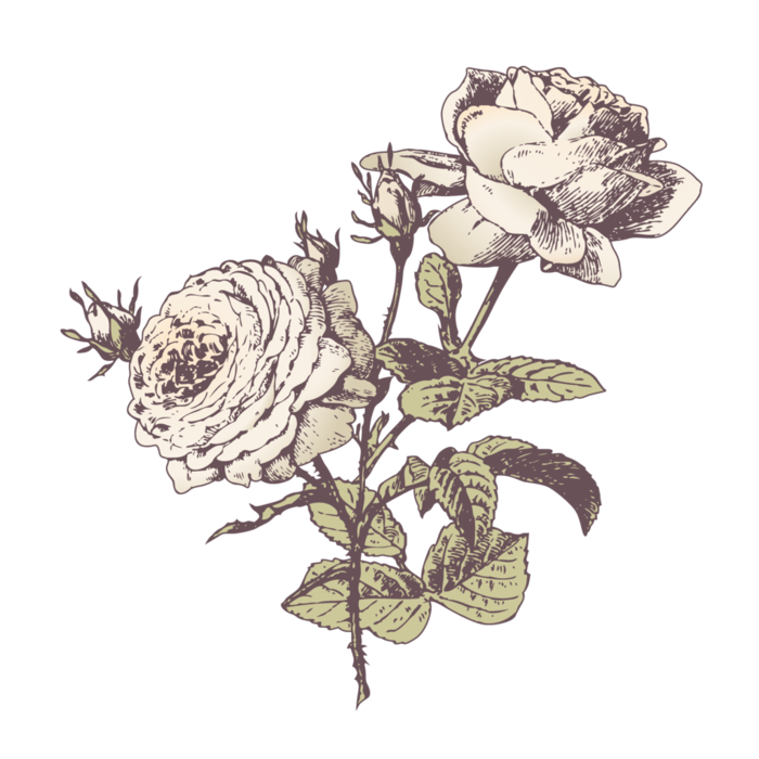 复古手绘花卉图片