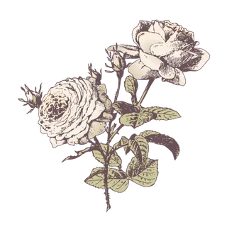 复古手绘花卉图片