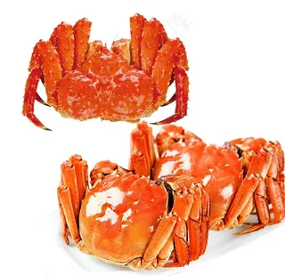 帝王蟹免扣素材图片
