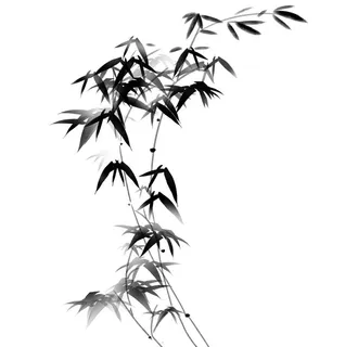 水墨竹子图片 水墨竹子图片