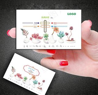 名片  花   多肉植物图片