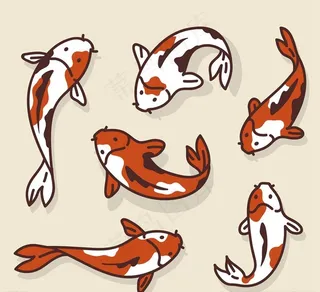 款手绘锦鲤图片