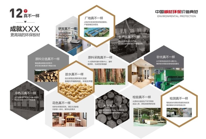 环保板材12个真不一样图片cdr矢量模版下载