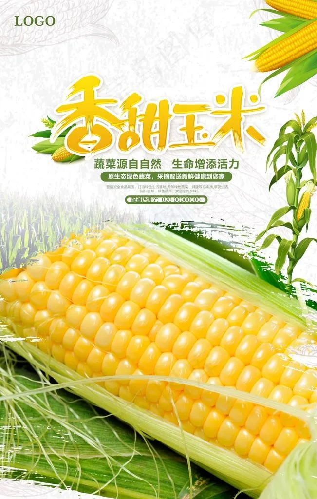 清新玉米海报图片psd模版下载