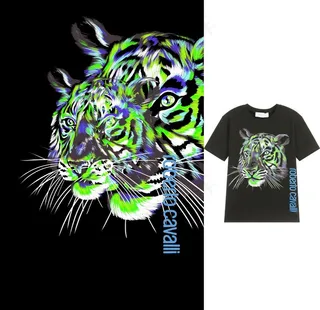 大牌彩色虎头图片