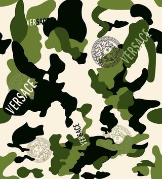 大牌迷彩范思哲图片