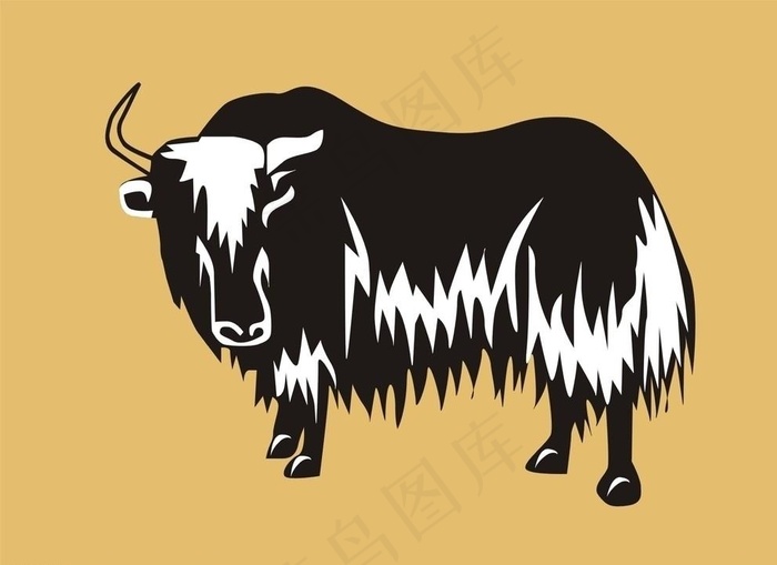 牦牛图片