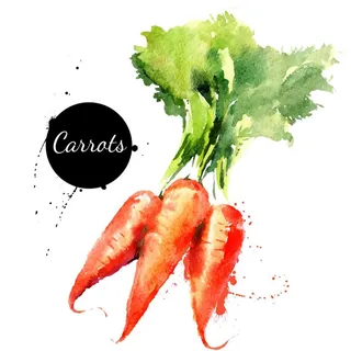 彩绘胡萝卜矢量素材图片