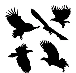 老鹰剪影图片