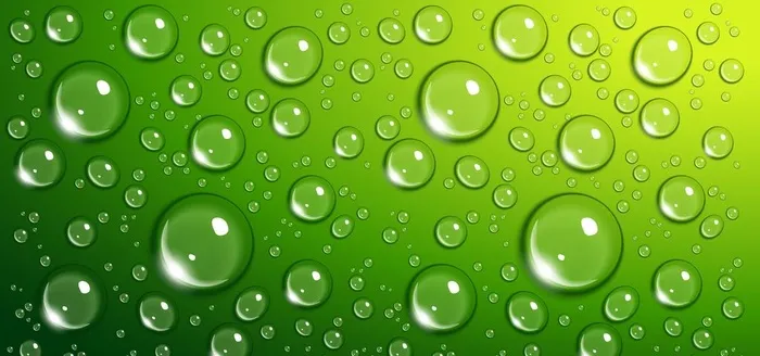 露水图片ai矢量模版下载
