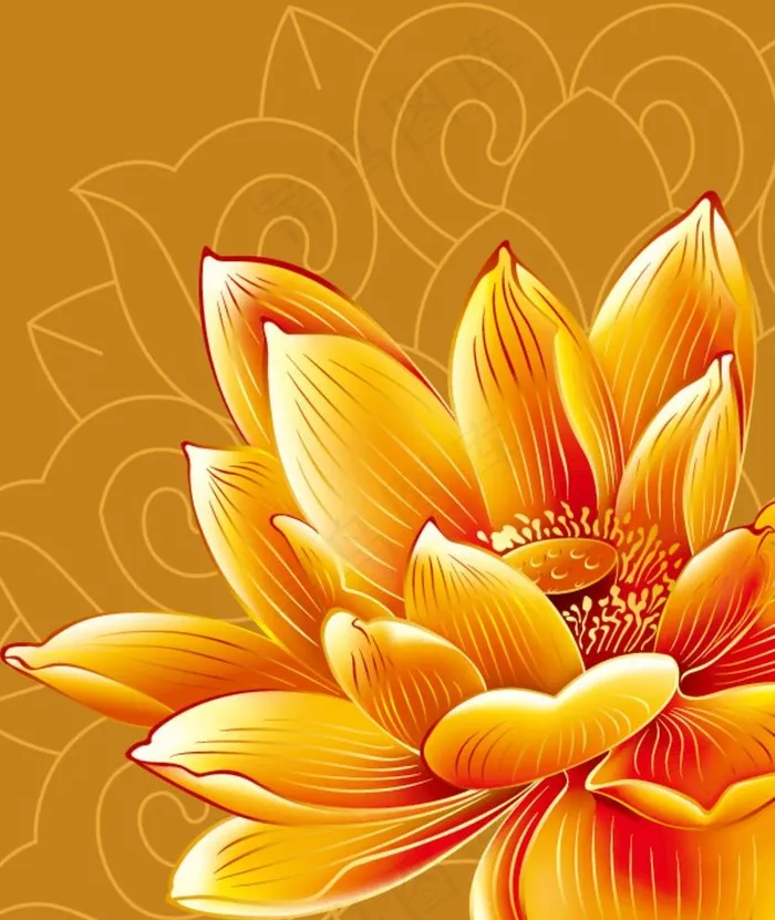 金色荷花图片ai矢量模版下载
