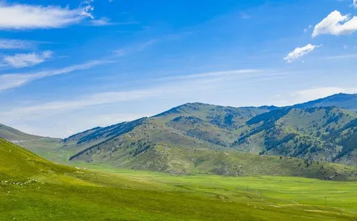 蓝天草地图片 蓝天草地图片