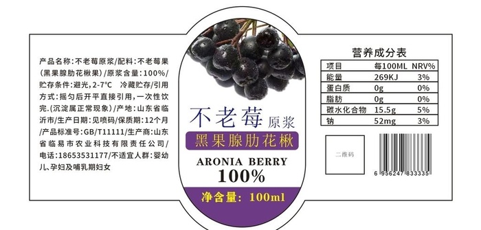 不老莓 黑果腺肋花楸图片cdr矢量模版下载