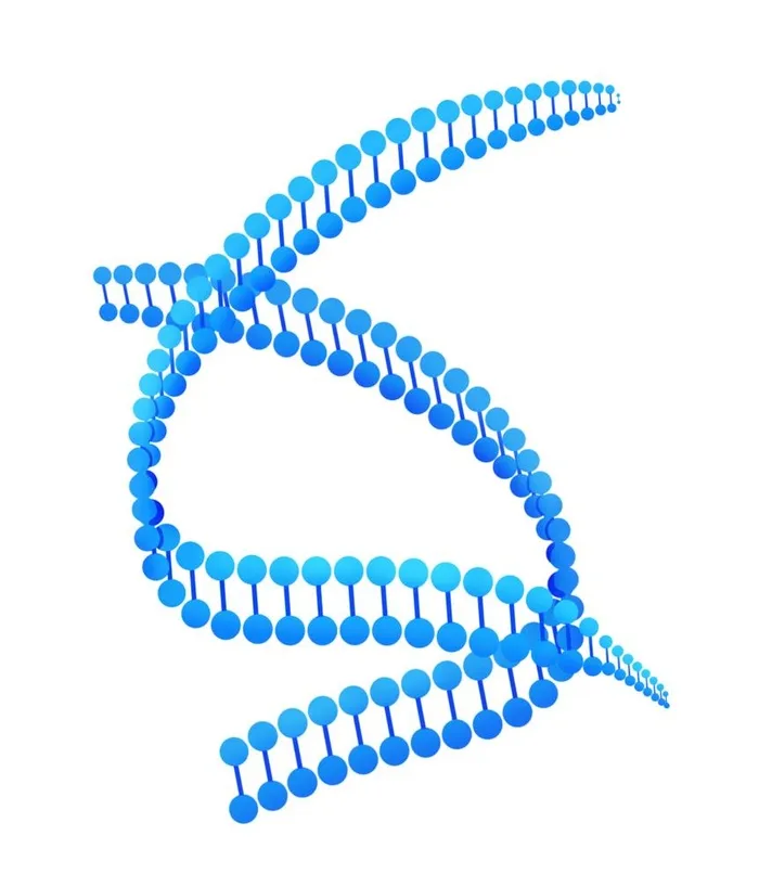 生物基因 图片(4171x4956)psd模版下载