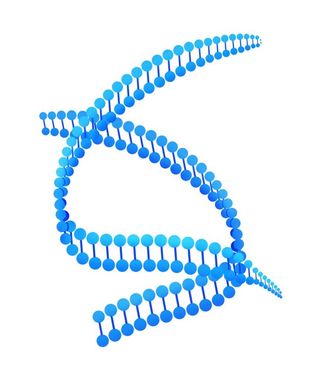生物基因 图片