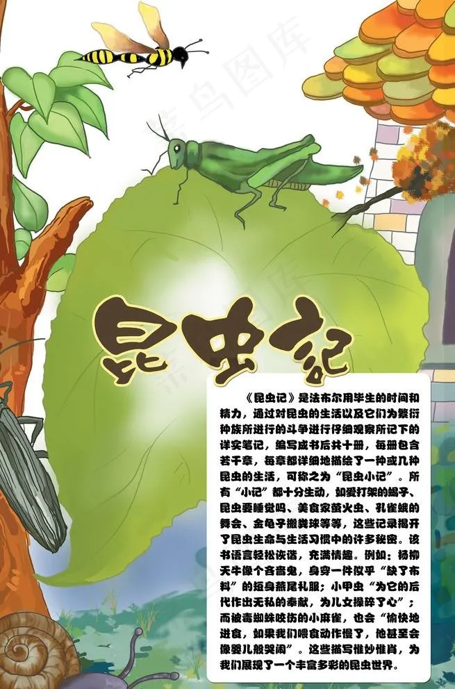 昆虫记图片(2362X3690(DPI:300))psd模版下载