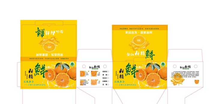 耙耙柑图片ai矢量模版下载