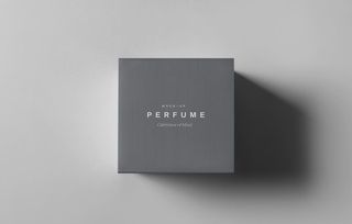 包装盒样子图片