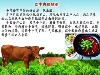 牛肉图片