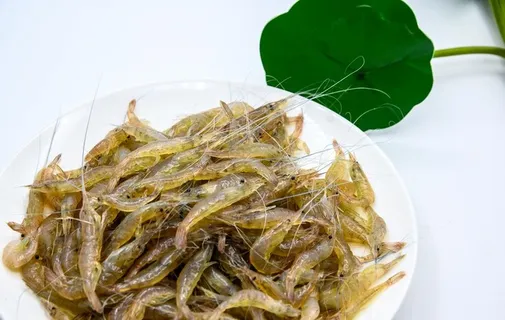 河虾图片 河虾图片