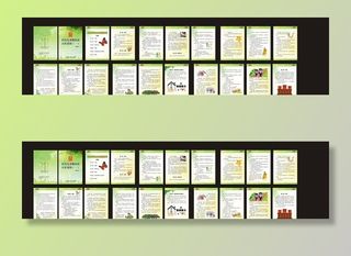 妇女儿童法律画册图片