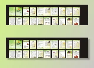 妇女儿童法律画册图片