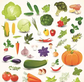蔬菜矢量图片
