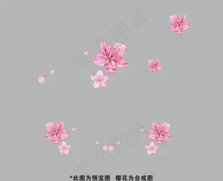 樱花图片