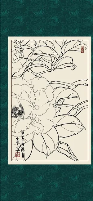 白描茶花图片 白描茶花图片