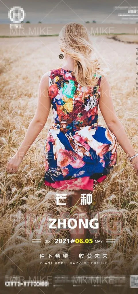 酒吧芒种节气海报图片(1181x2362)psd模版下载