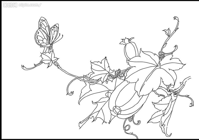 线描香瓜蝴蝶图片ai矢量模版下载