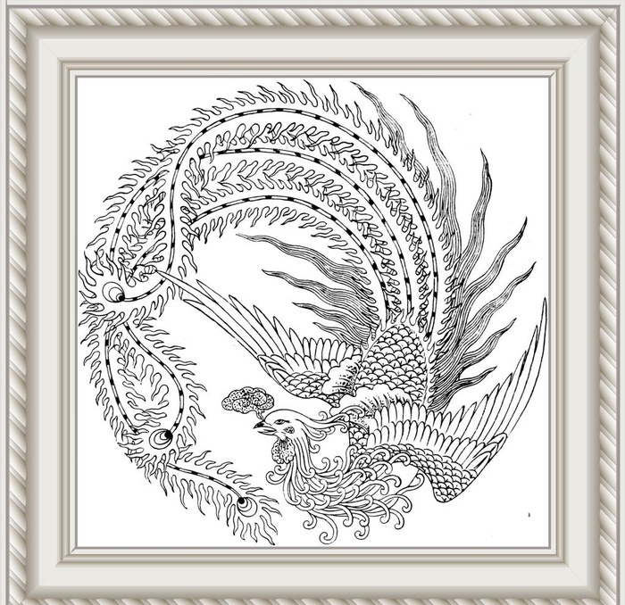 白描凤凰图片