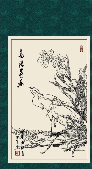 白鹭图片